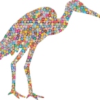 r9763 cigogne