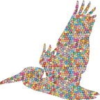 r9771 pelican