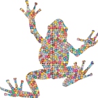 r9772 grenouille