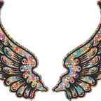 R9789 2 ailes