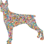 r9841 doberman