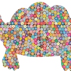r9851 tortue vieille