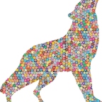 r9697 loup
