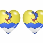 r9049 drapeau cœur drome