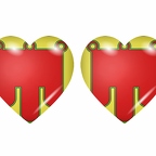 r9053 drapeau cœur auvergne