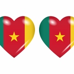 r8643 drapeau cœur Cameroun