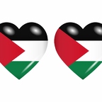 r8768 drapeau cœur Palestine