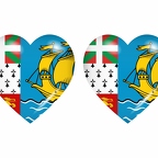 r8791 drapeau cœur st-PierreMique