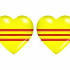 r8840 drapeau cœur Sudvietnam