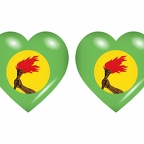 r8843 drapeau cœur Zaire