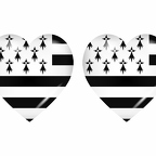 r8853 drapeau cœur bretagne