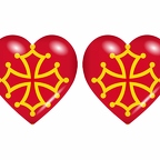 r8857 drapeau cœur occitan