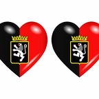 r8874 drapeau cœur aosta