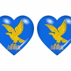 r8879 drapeau cœur friul