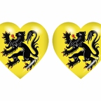 r8893 drapeau cœur flamand