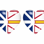 r8905 drapeau cœur labrador