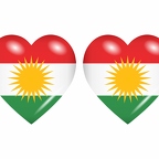 r8863 drapeau cœur kurd