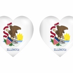 r8925 drapeau cœur illinois
