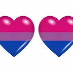 r9004 drapeau cœur bisexual