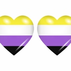 r9006 drapeau cœur nonbinary