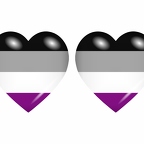 r9007 drapeau cœur asexual