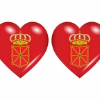 r9024 drapeau cœur navarra