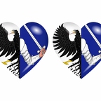 r9029 drapeau cœur connacht