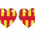 r9075 drapeau cœur northumberland