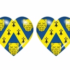 r9077 drapeau cœur shropshire