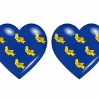 r9078 drapeau cœur sussex