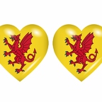 r9087 drapeau cœur somerset