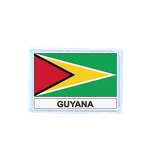FLEX 95 Flag Guyana