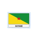 FLEX 96 Flag Guyanefr