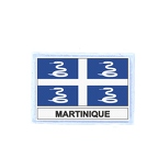 FLEX 142 Flag Martinique