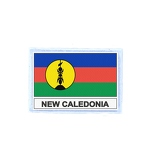 FLEX 163 Flag Ncaledonie