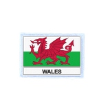 FLEX 248 Flag wales