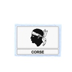FLEX 254 Flag corse