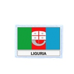 FLEX 283 Flag ligueie