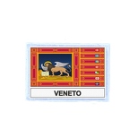 FLEX 293 Flag venetie