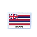 FLEX 325 Flag hawaii