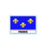 FLEX 372 Flag fleurdelys