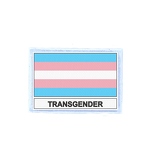 FLEX 406 Flag transgender