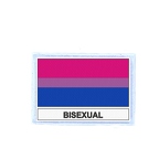 FLEX 407 Flag bisexual