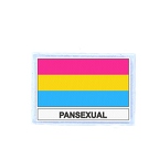 FLEX 408 Flag pansexual