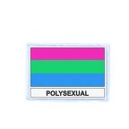 FLEX 411 Flag polysexual