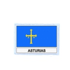 FLEX 418 Flag asturias