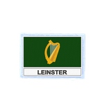 FLEX 433 Flag leinster