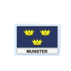 FLEX 434 Flag munster