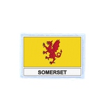 FLEX 490 Flag somerset