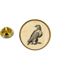 AX 1434 aigle dessin